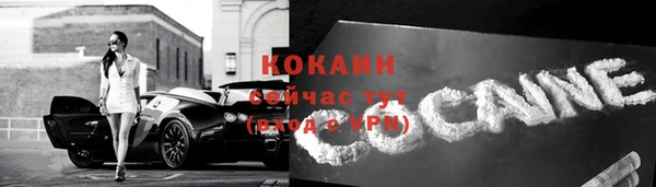 прущие грибы Кинешма