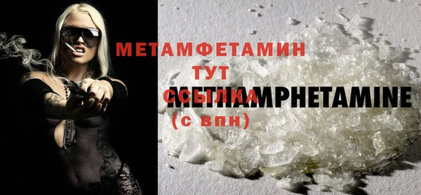 прущие грибы Кинешма