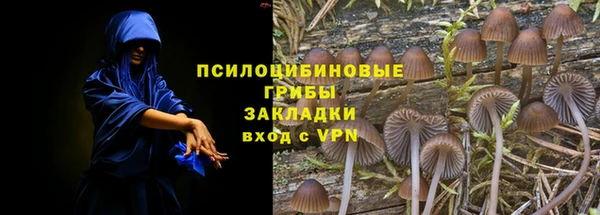 прущие грибы Кинешма